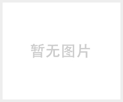 分離型調速馬達 台灣精造